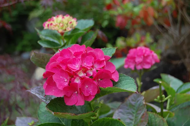 $922,200 | 48 Kingsley Farm Road, Gouldsboro, ME 04607