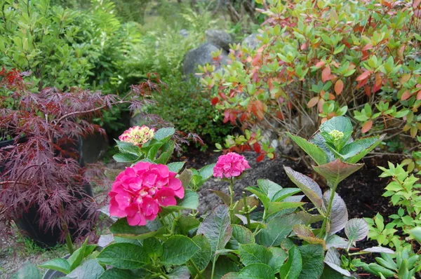 $847,222 | 48 Kingsley Farm Road, Gouldsboro, ME 04607