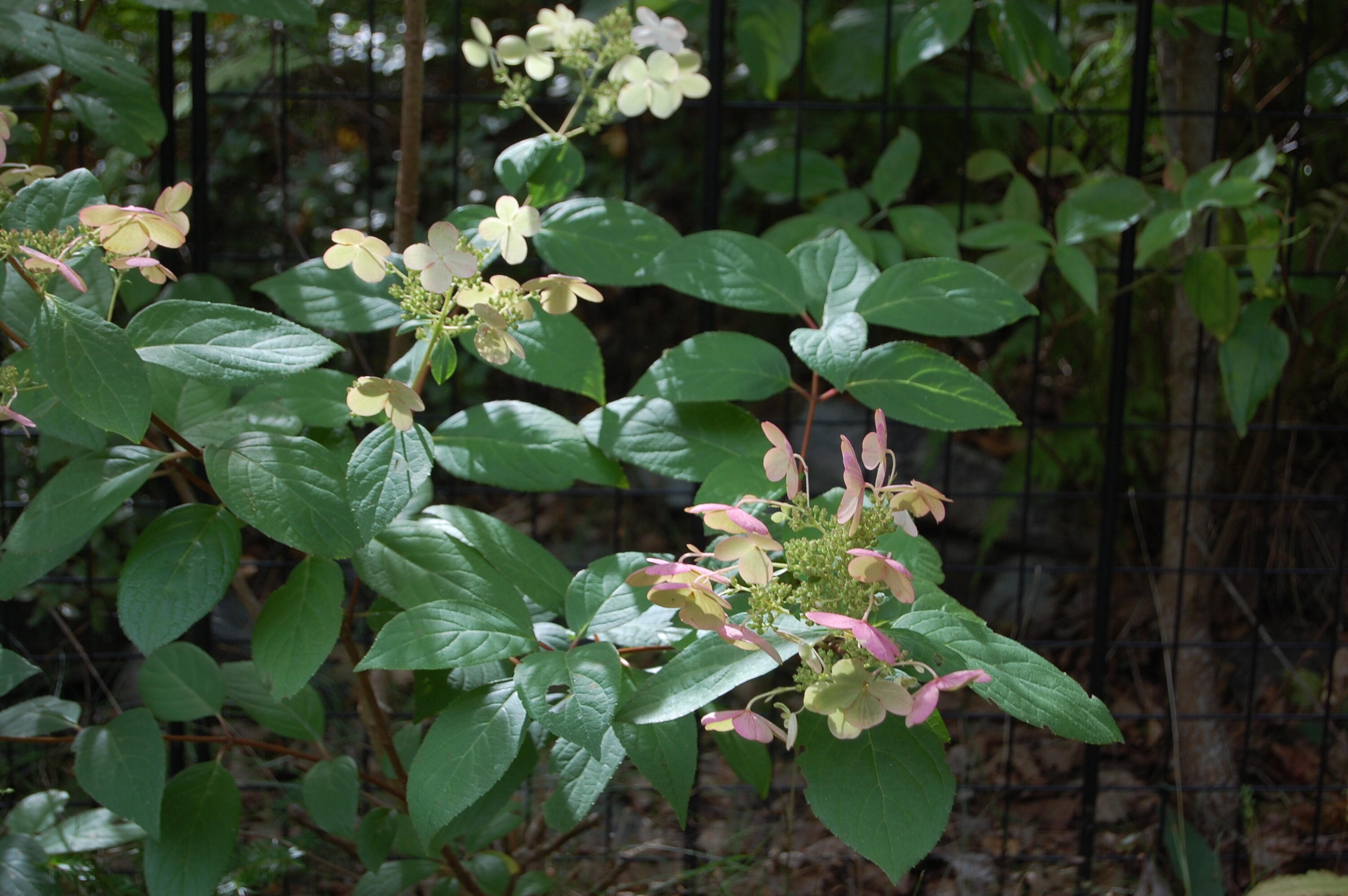 48 Kingsley Farm Road Gouldsboro, ME 04607 - Photo 25 of 57 DSC_0410