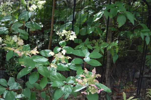 $847,222 | 48 Kingsley Farm Road, Gouldsboro, ME 04607