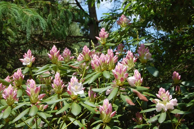 $982,200 | 48 Kingsley Farm Road, Gouldsboro, ME 04607