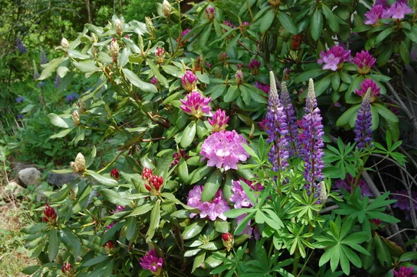 $847,222 | 48 Kingsley Farm Road, Gouldsboro, ME 04607