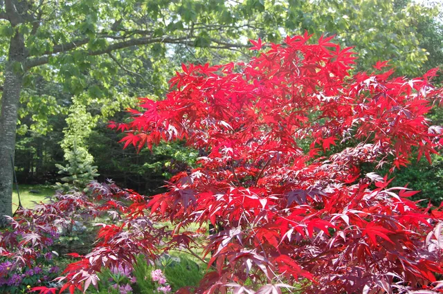 $982,200 | 48 Kingsley Farm Road, Gouldsboro, ME 04607