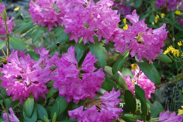 $982,200 | 48 Kingsley Farm Road, Gouldsboro, ME 04607