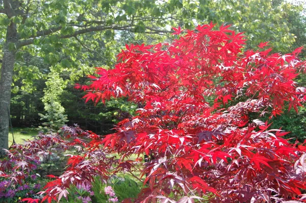 $847,222 | 48 Kingsley Farm Road, Gouldsboro, ME 04607