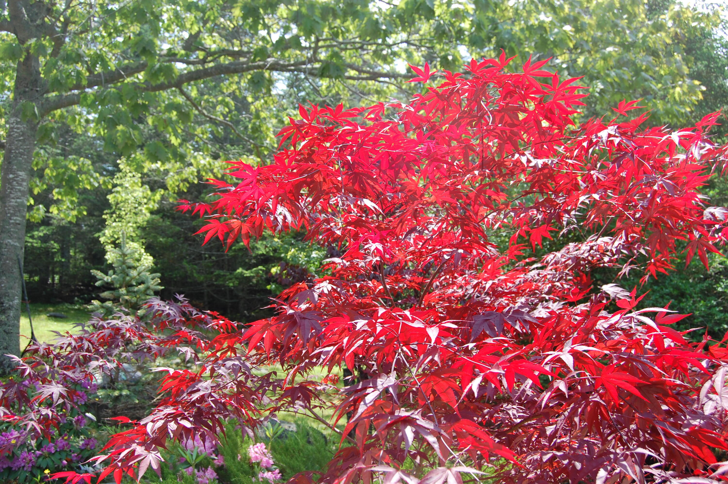 48 Kingsley Farm Road Gouldsboro, ME 04607 - Photo 30 of 57 DSC_0302