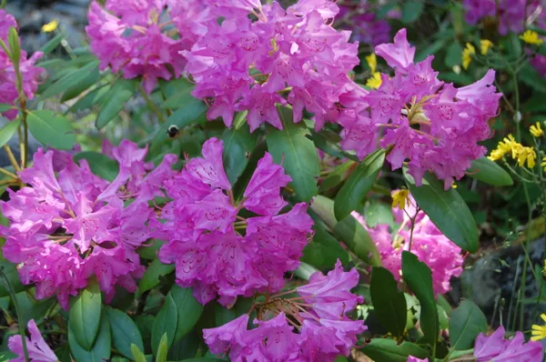 $847,222 | 48 Kingsley Farm Road, Gouldsboro, ME 04607