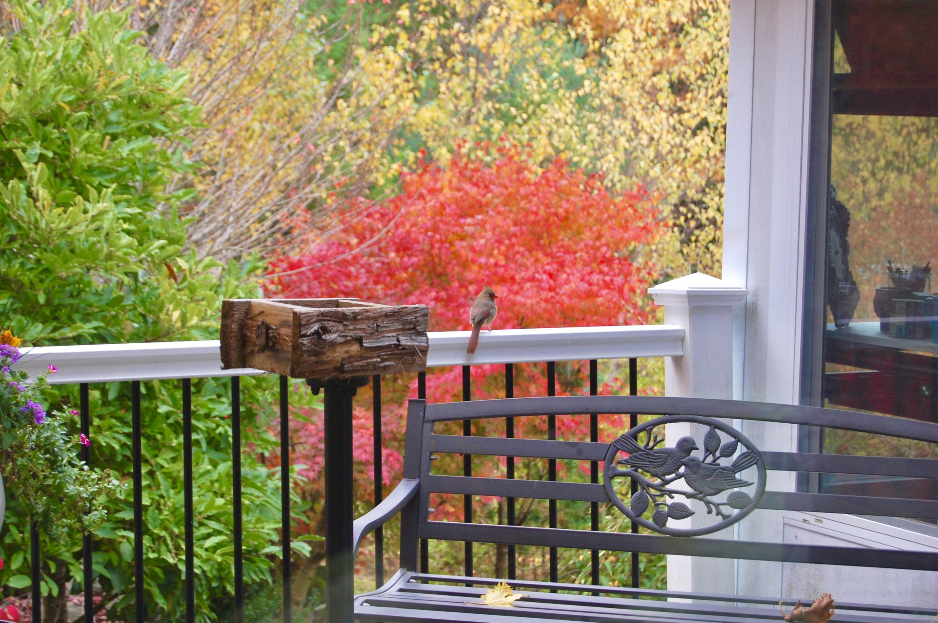 48 Kingsley Farm Road Gouldsboro, ME 04607 - Photo 32 of 57 IMG_5650