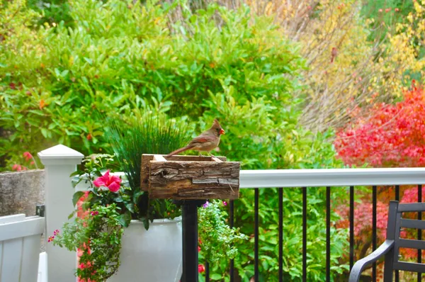 $847,222 | 48 Kingsley Farm Road, Gouldsboro, ME 04607