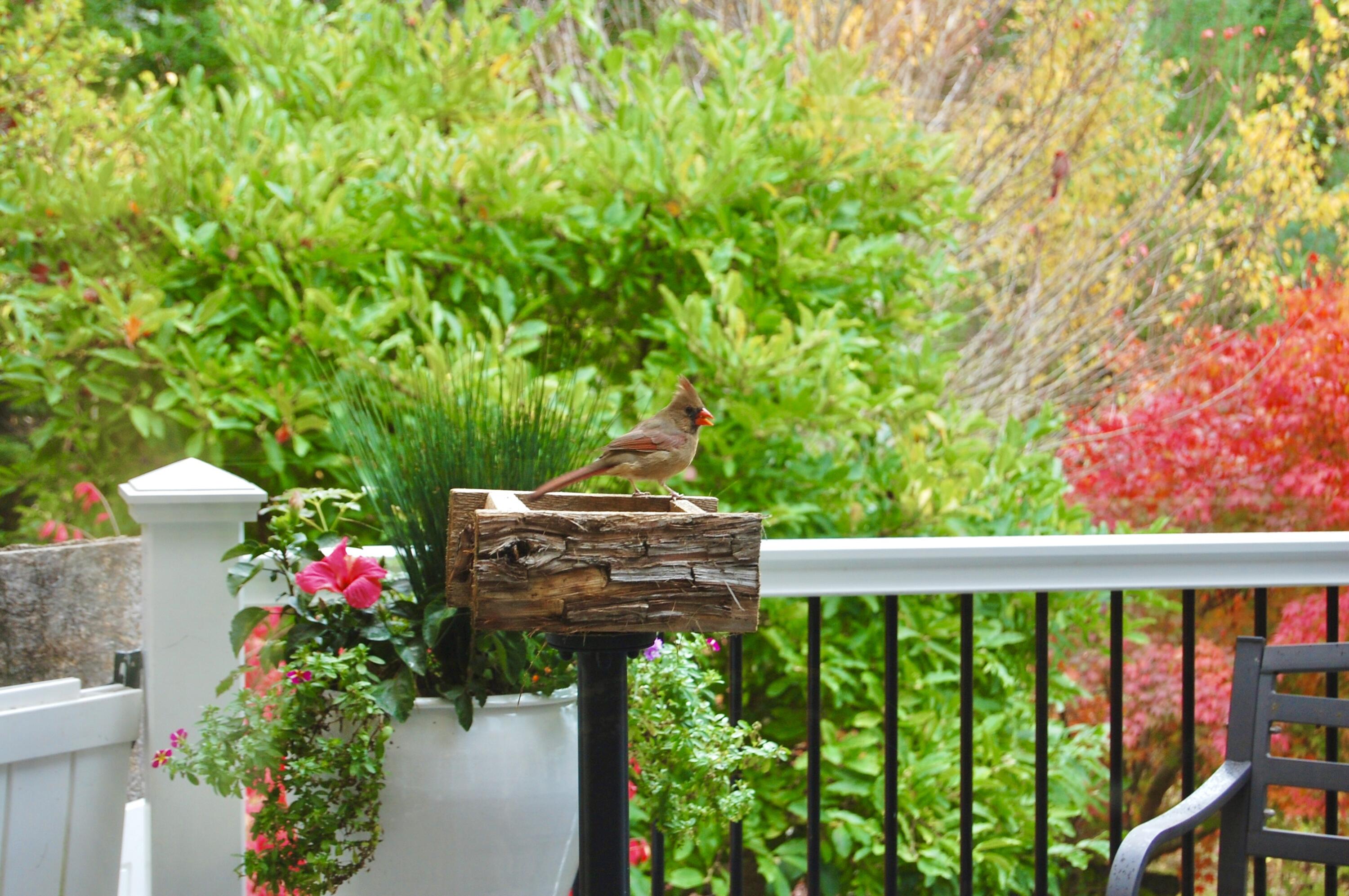 48 Kingsley Farm Road Gouldsboro, ME 04607 - Photo 5 of 57 Cardi