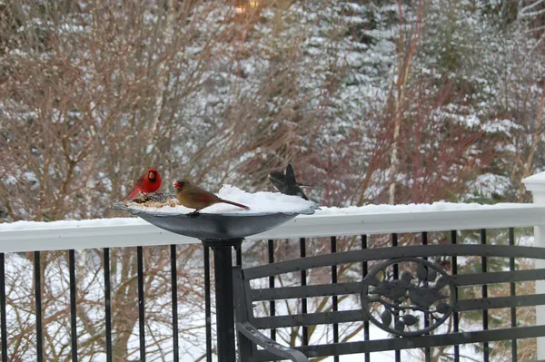 $847,222 | 48 Kingsley Farm Road, Gouldsboro, ME 04607