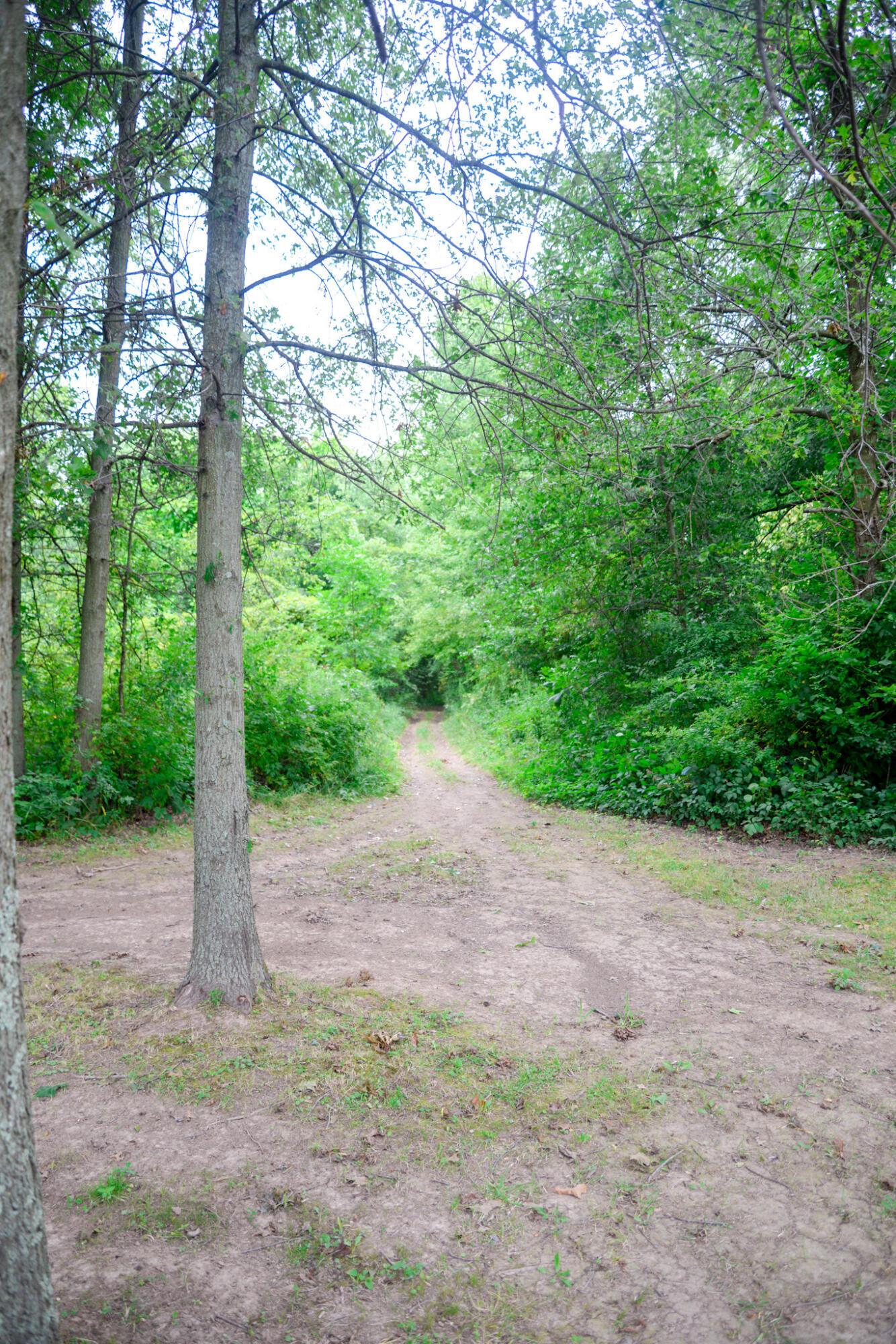 3846 London-Lancaster Road Groveport, OH 43125 - Photo 4 of 11 Wooded Area