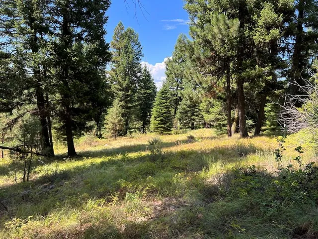 $265,000 | 5 Whitefield Lane, Unit 5, McCall, ID 83638