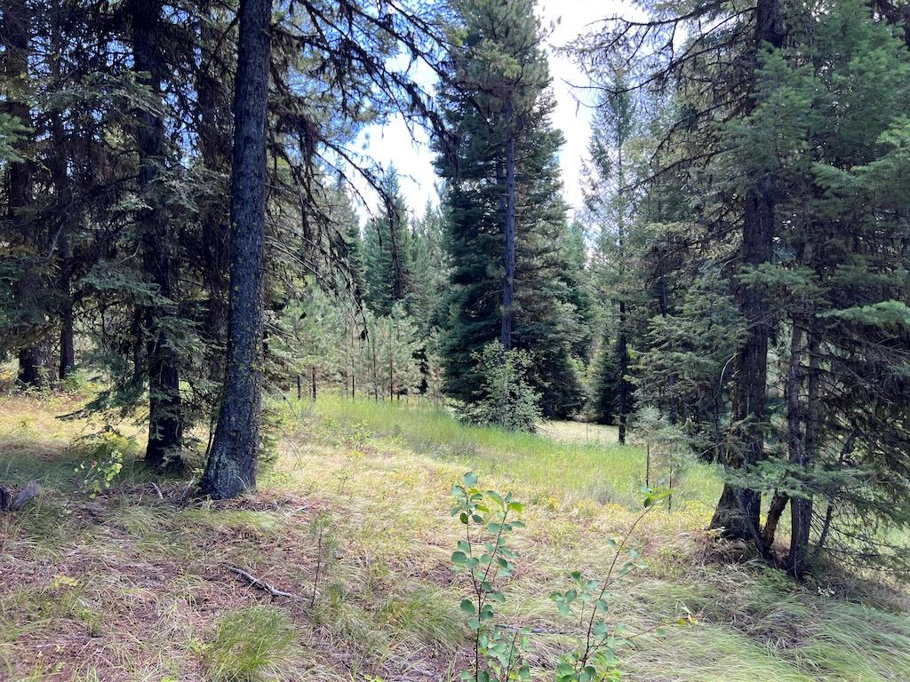 5 Whitefield Lane, Unit 5 McCall, ID 83638 - Photo 13 of 23