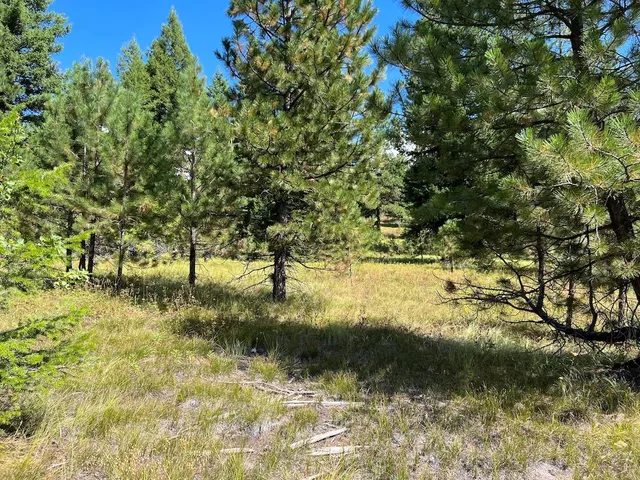 $265,000 | 5 Whitefield Lane, Unit 5, McCall, ID 83638