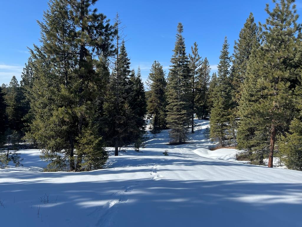 5 Whitefield Lane, Unit 5 McCall, ID 83638 - Photo 17 of 23