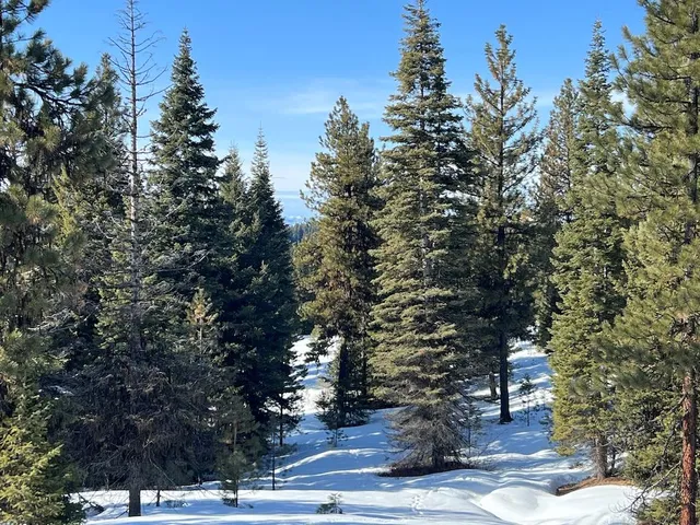 $265,000 | 5 Whitefield Lane, Unit 5, McCall, ID 83638