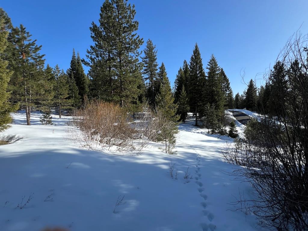 5 Whitefield Lane, Unit 5 McCall, ID 83638 - Photo 19 of 23