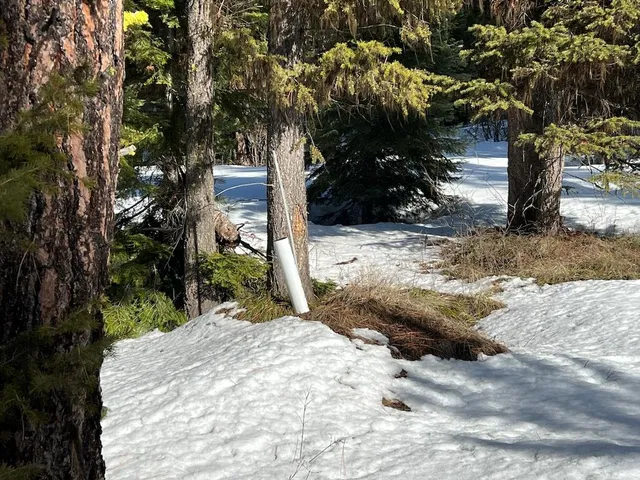 $265,000 | 5 Whitefield Lane, Unit 5, McCall, ID 83638