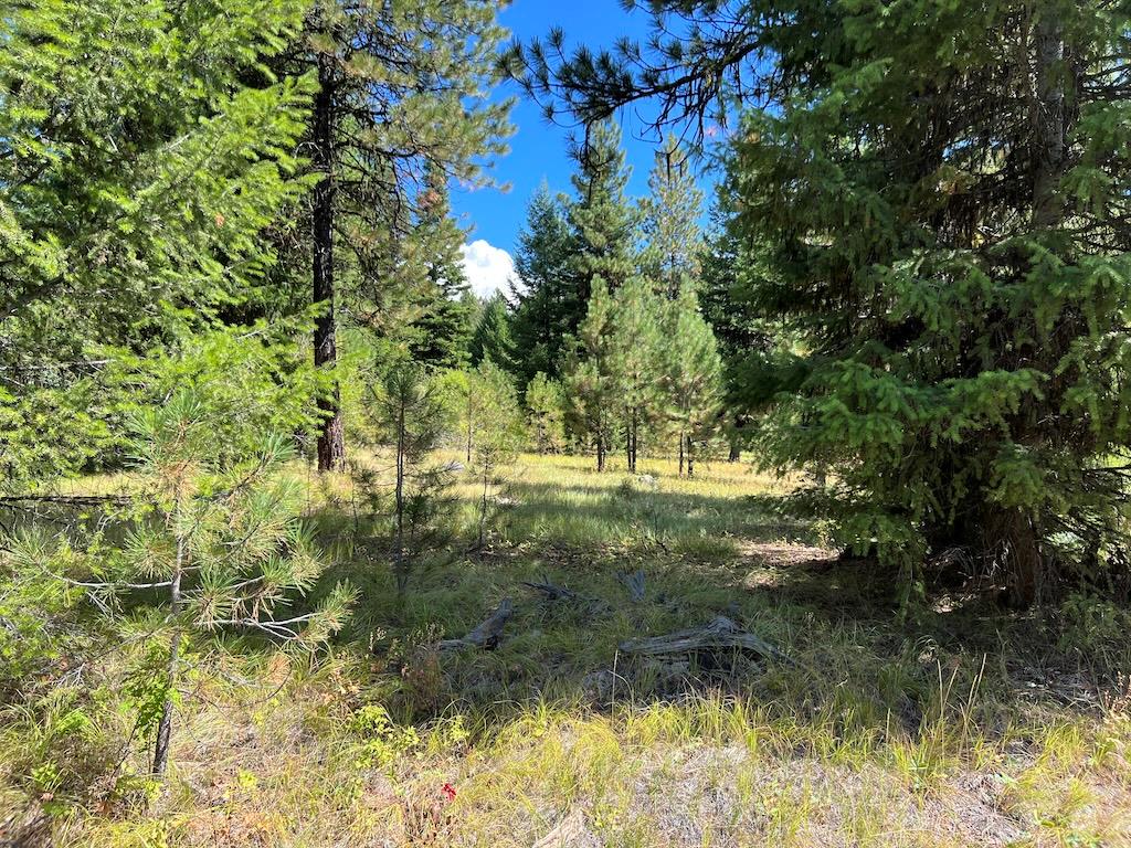 5 Whitefield Lane, Unit 5 McCall, ID 83638 - Photo 3 of 23