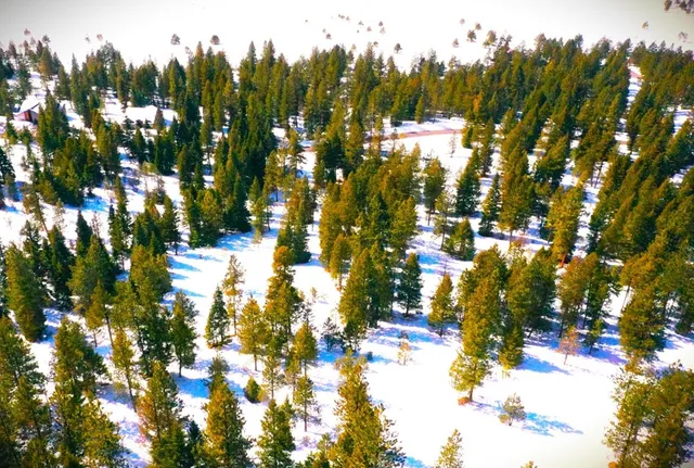 $265,000 | 5 Whitefield Lane, Unit 5, McCall, ID 83638