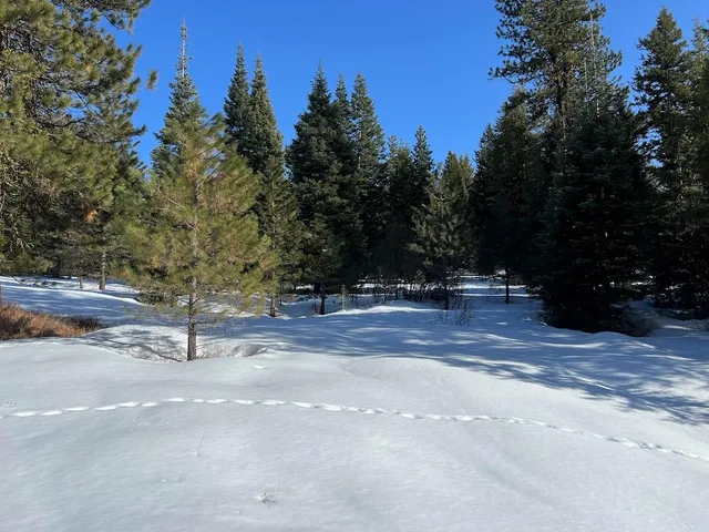 $265,000 | 5 Whitefield Lane, Unit 5, McCall, ID 83638