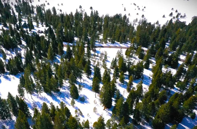 $265,000 | 5 Whitefield Lane, Unit 5, McCall, ID 83638