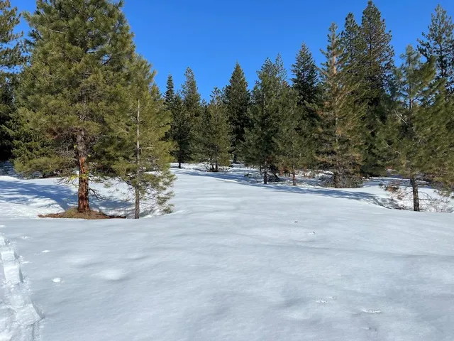 $265,000 | 5 Whitefield Lane, Unit 5, McCall, ID 83638