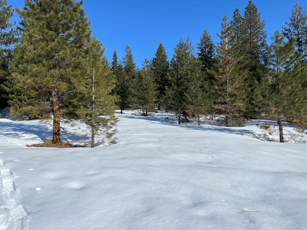 5 Whitefield Lane, Unit 5 McCall, ID 83638 - Photo 8 of 23