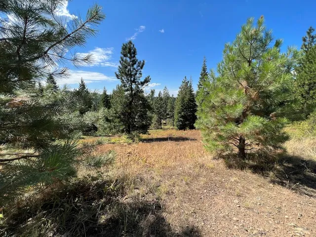 $265,000 | 5 Whitefield Lane, Unit 5, McCall, ID 83638