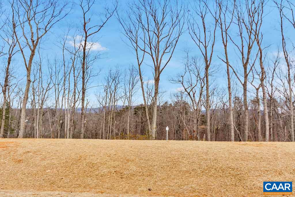 2236 Waterside Way Keswick, VA 22947 - Photo 8 of 9 Gallery Image 8