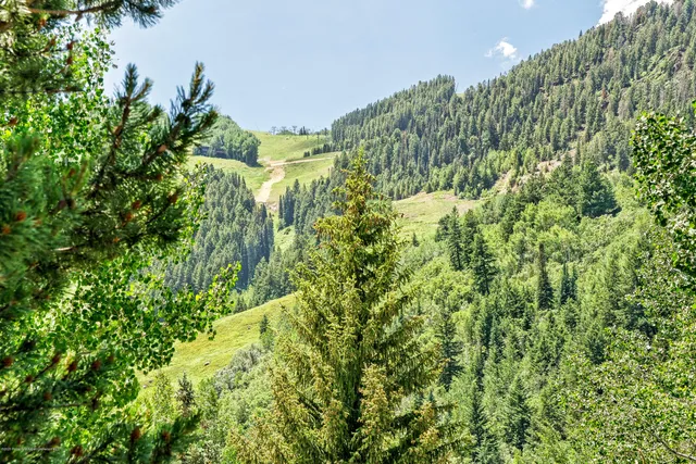 $18,000 | 124 West Hyman Avenue, Unit 2B, Aspen, CO 81611