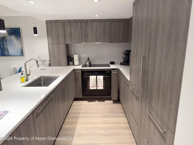 $18,000 | 124 West Hyman Avenue, Unit 2B, Aspen, CO 81611