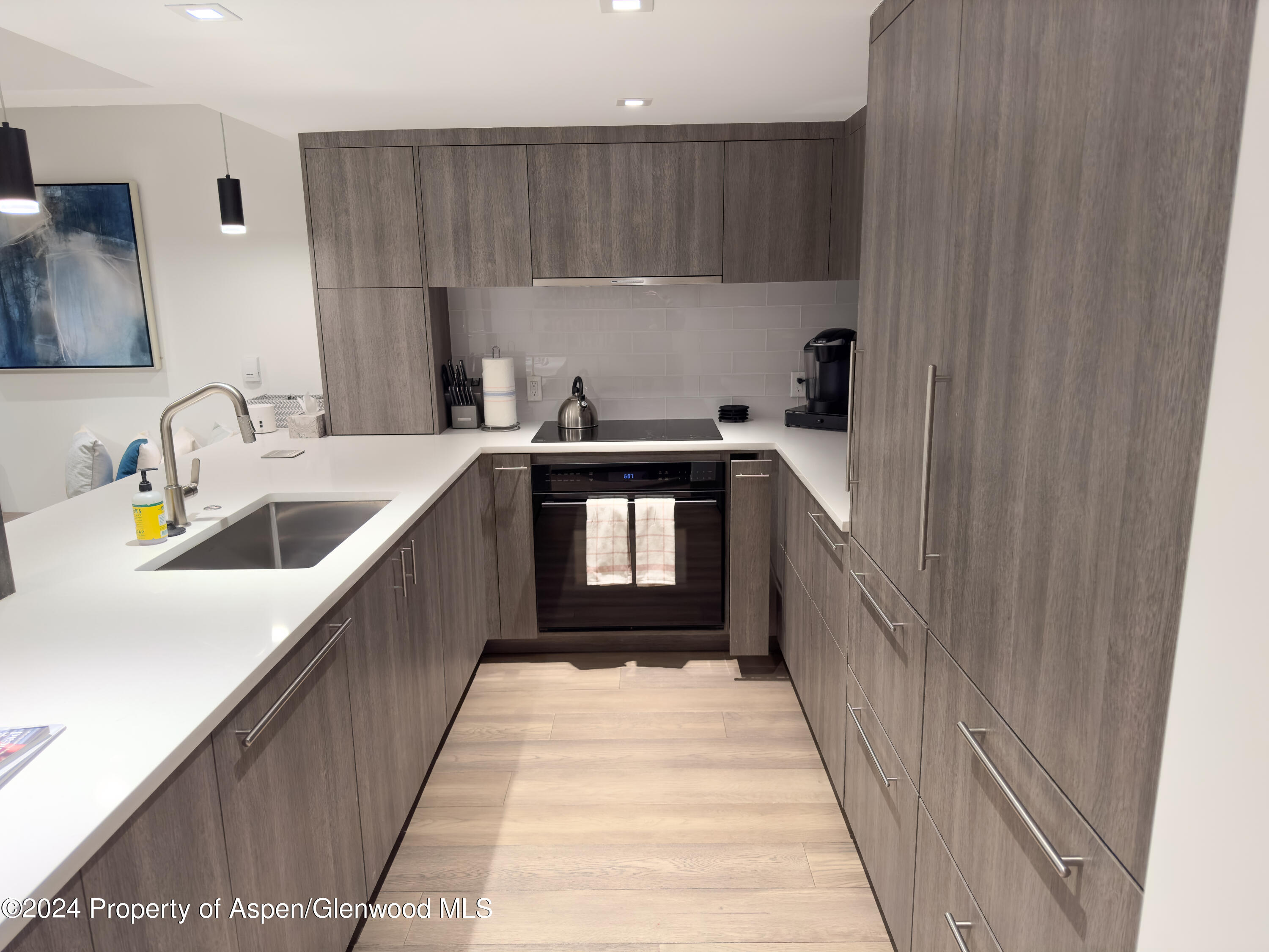 124 West Hyman Avenue, Unit 2B Aspen, CO 81611 - Photo 4 of 13 IMG_0563