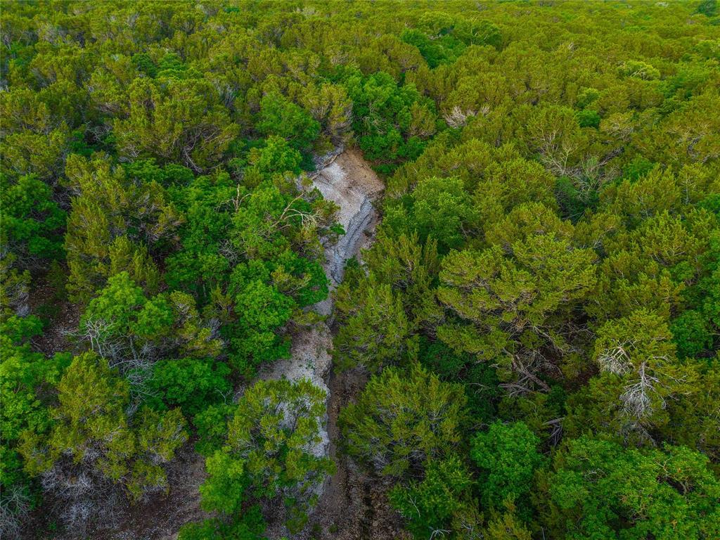 Unk Unk Private Road, Unit 2131 Iredell, TX 76649 - Photo 28 of 36 a backyard of a house with lots of trees