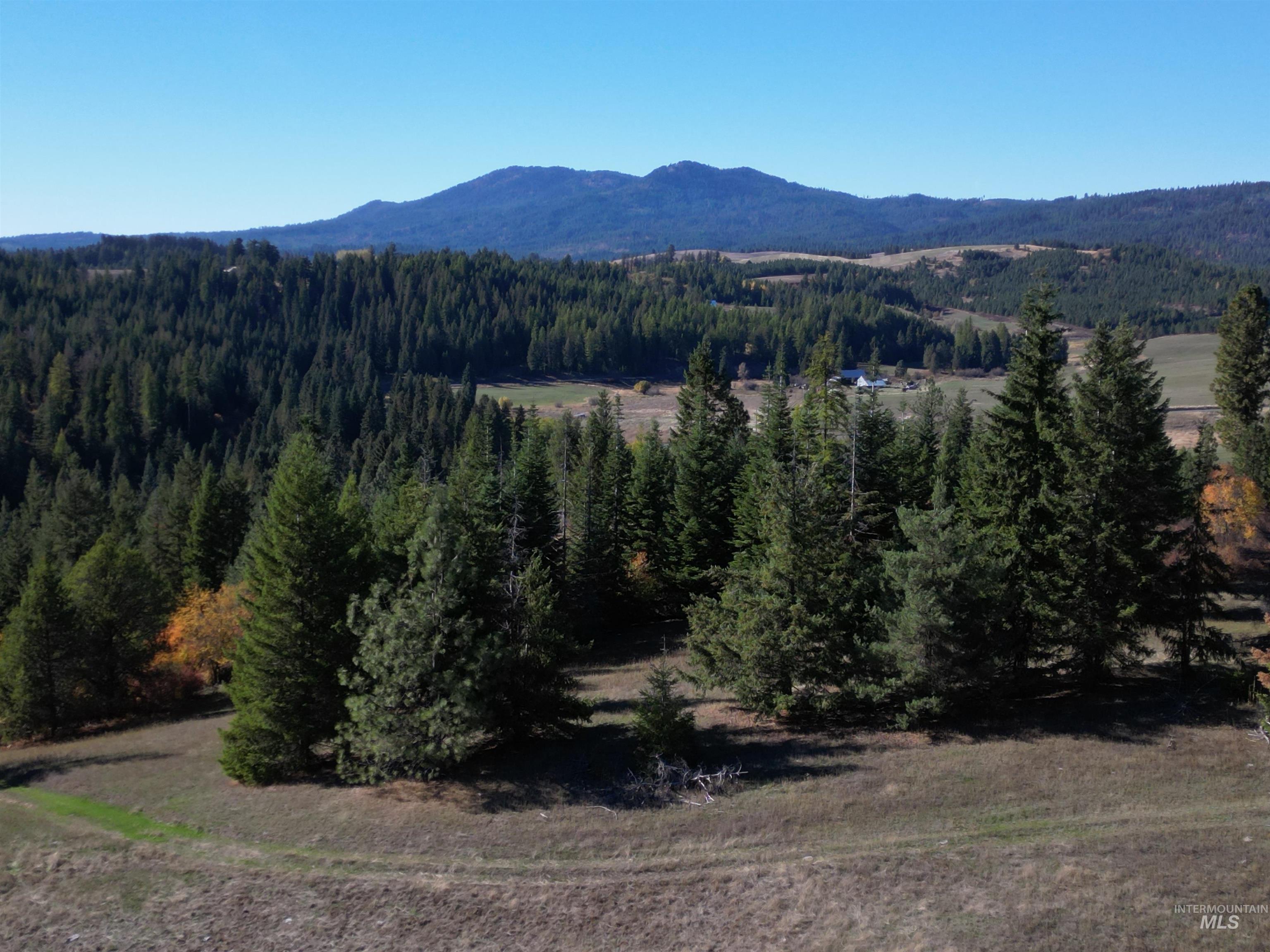 0 Spring Valley Road Troy, ID 83871 - Photo 5 of 21 Gallery Image 5