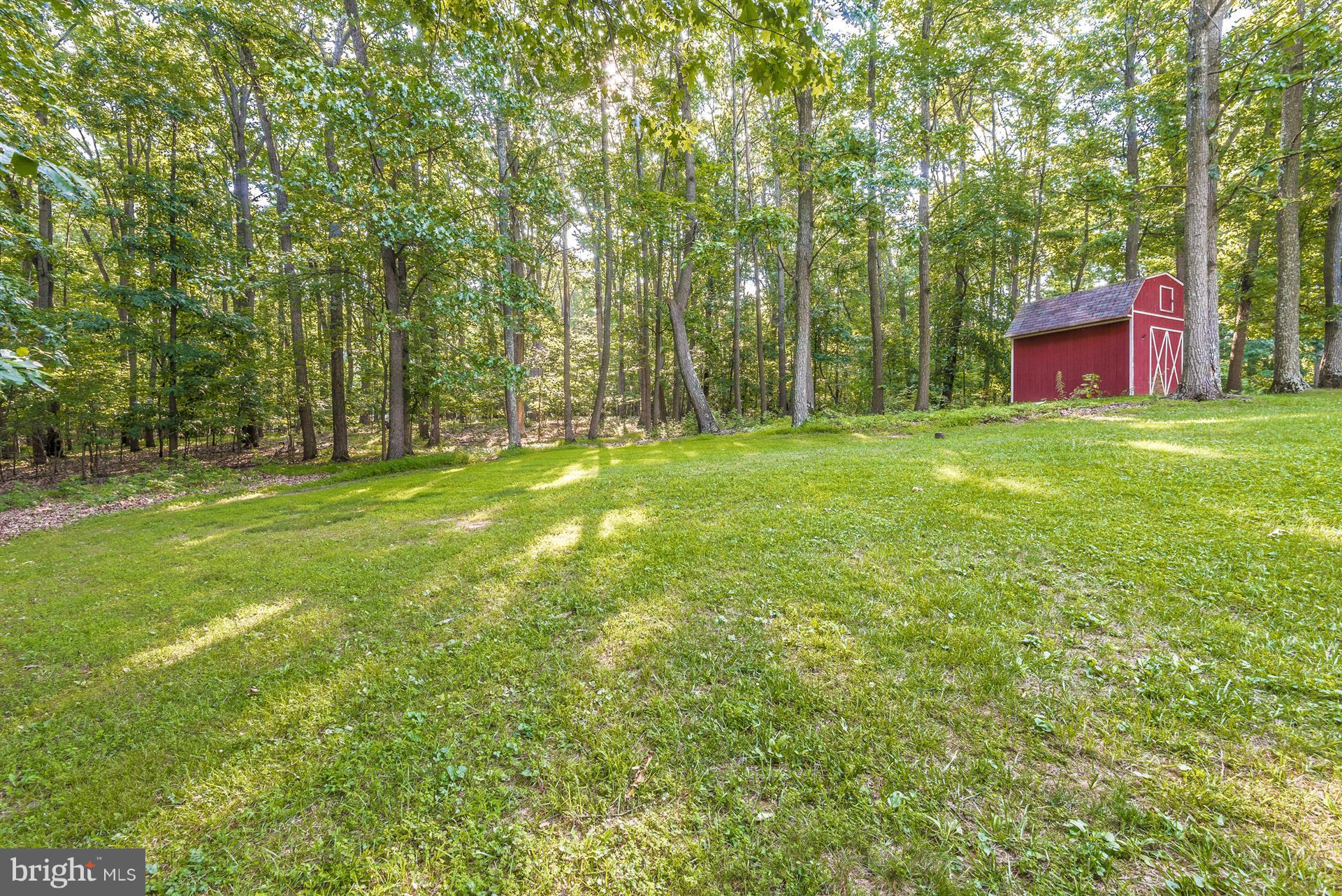 14646 Peddicord Road Mount Airy, MD 21771 - Photo 29 of 30 Rear Yard with Shed