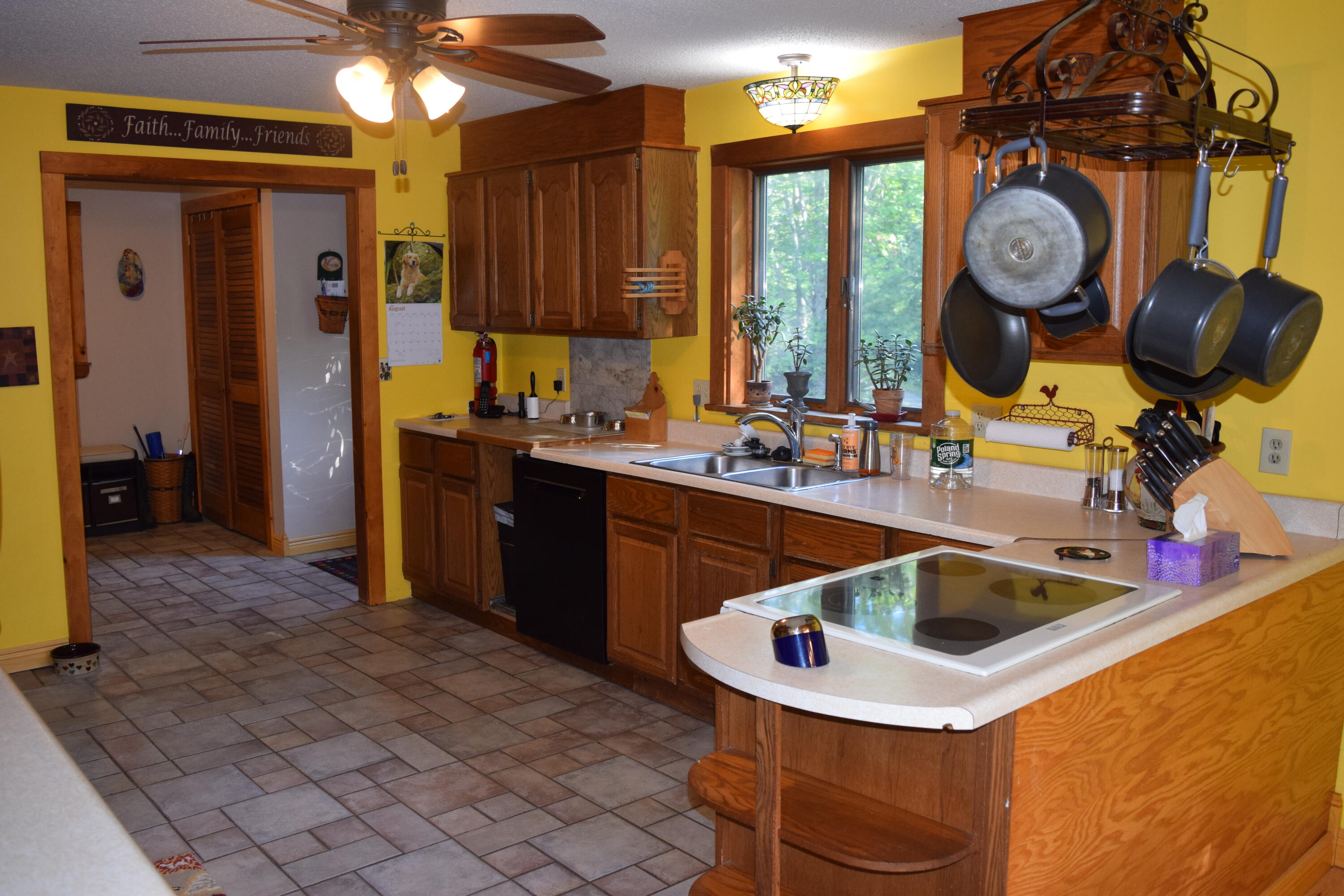 154 Toddy Pond Road Surry, ME 04684 - Photo 5 of 33 DSC_0043