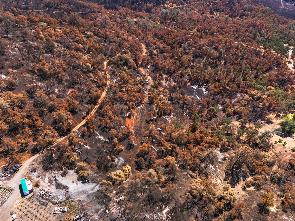 79 Oregon Gulch Road Oroville, CA 95965 - Photo 14 of 16 a view of a tree