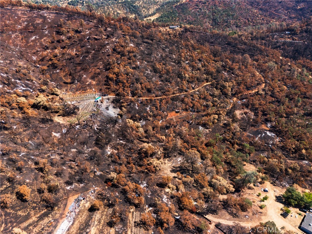79 Oregon Gulch Road Oroville, CA 95965 - Photo 15 of 16 a view of a tree