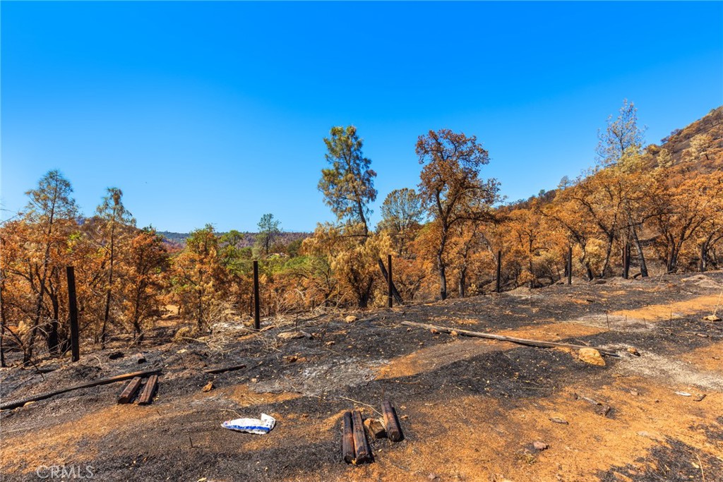 79 Oregon Gulch Road Oroville, CA 95965 - Photo 7 of 16 a view of a field with a tree in the background