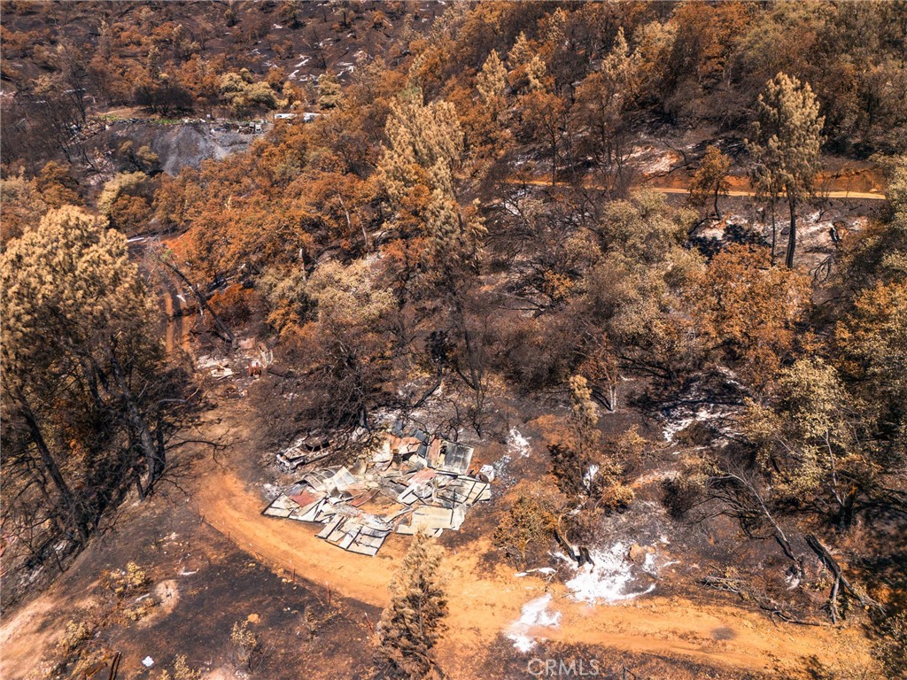 79 Oregon Gulch Road Oroville, CA 95965 - Photo 9 of 16 a view of a tree