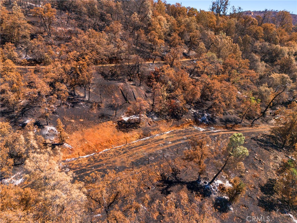 79 Oregon Gulch Road Oroville, CA 95965 - Photo 10 of 16