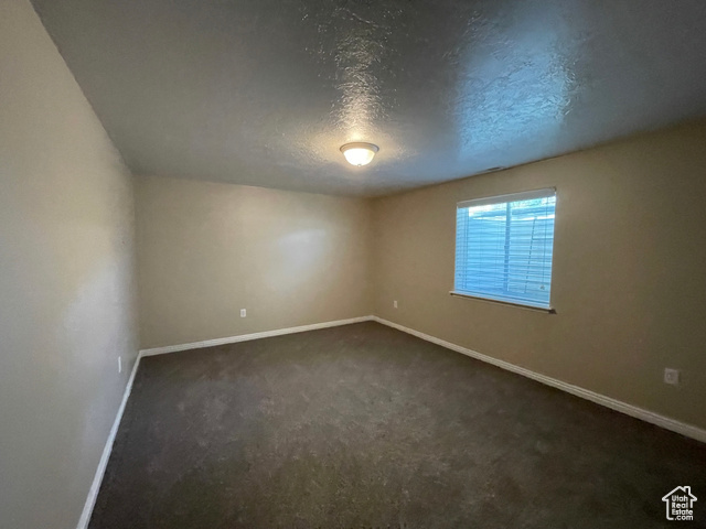 11473 South Dempsey Creek Road Lava Hot Springs, ID 83246 - Photo 31 of 47 Empty room featuring a textured ceiling and dark carpet