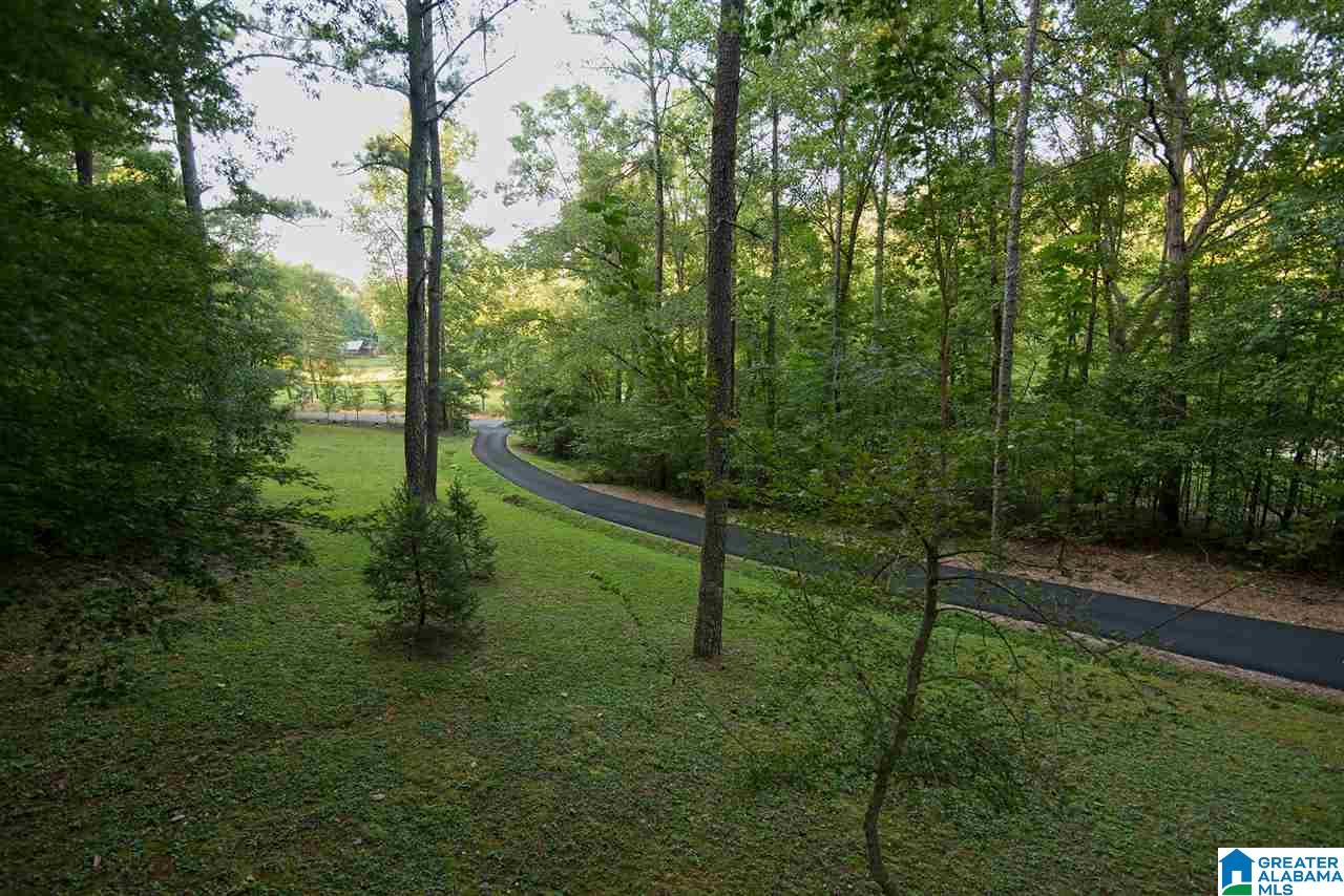 8199 Advent Cutoff Road Trussville, AL 35173 - Photo 3 of 29