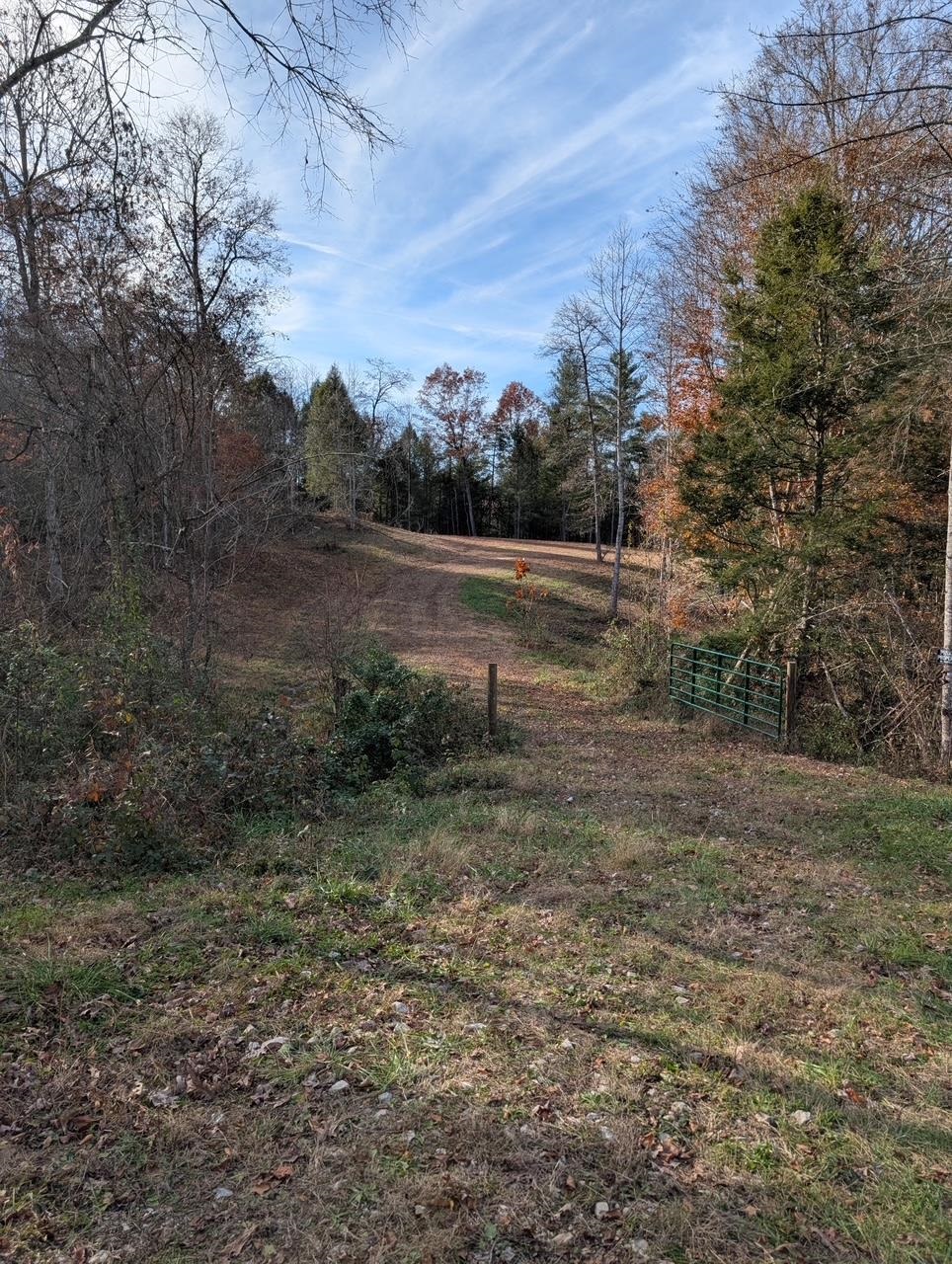 1195 Big Stone Road Sandy Hook, KY 41171 - Photo 9 of 12