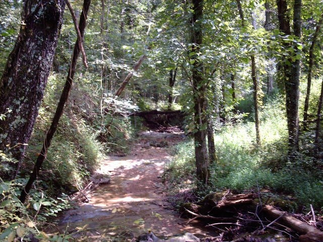 Ac Borders Road Smiths Grove, KY 42171 - Photo 11 of 14 Gallery Image 11
