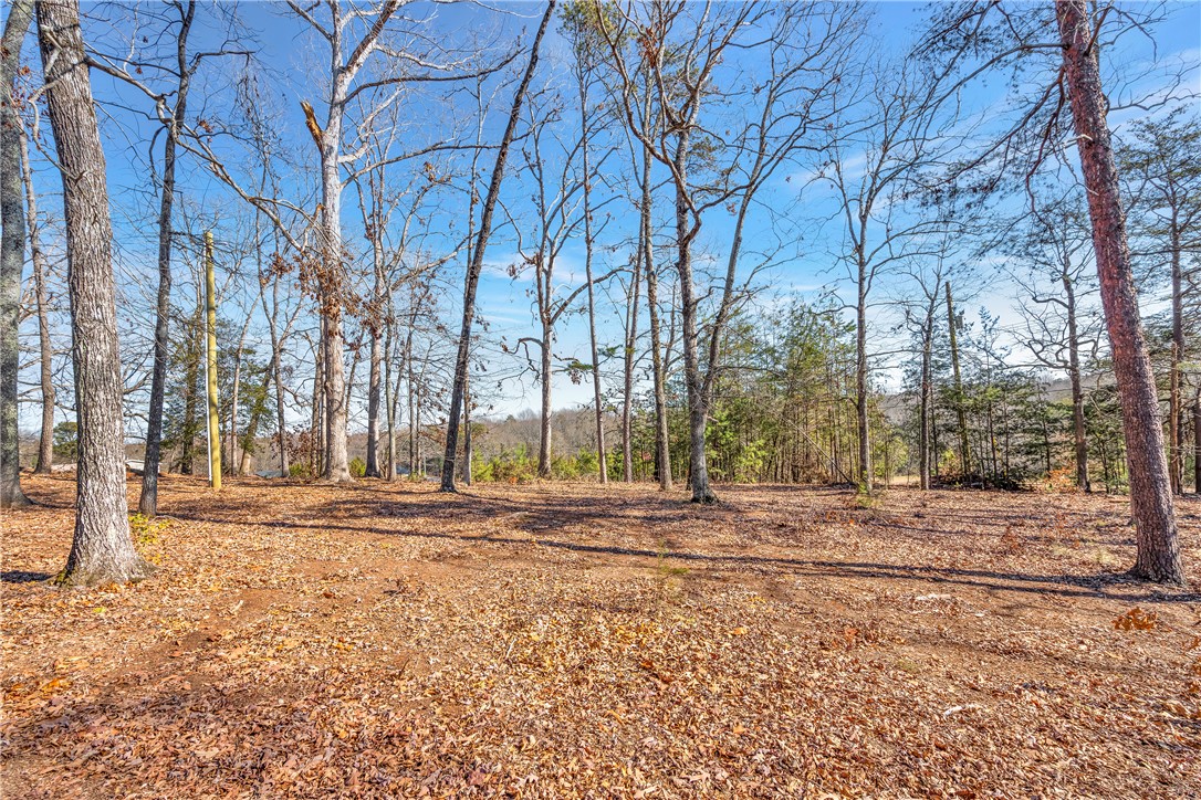 249 Breazeale Road Liberty, SC 29657 - Photo 31 of 35
