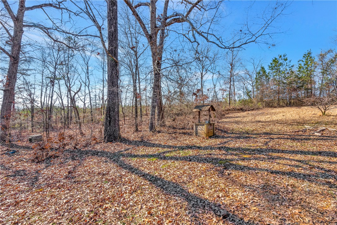 249 Breazeale Road Liberty, SC 29657 - Photo 32 of 35