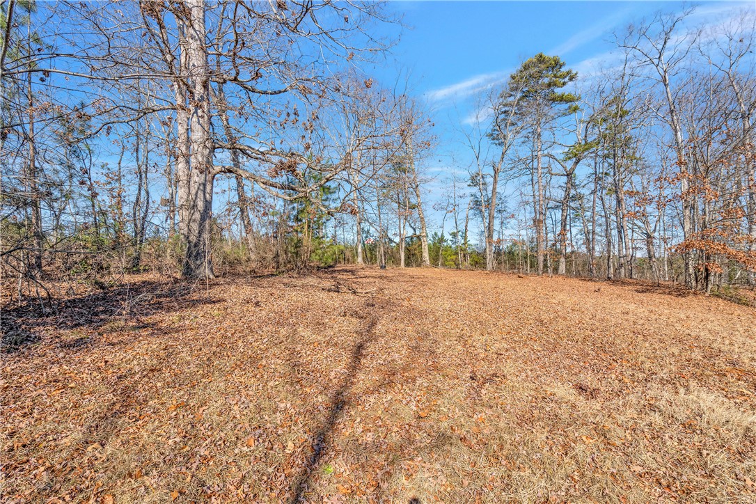 249 Breazeale Road Liberty, SC 29657 - Photo 35 of 35